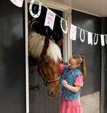 Vlaggenlijn Happy Horses (6m)