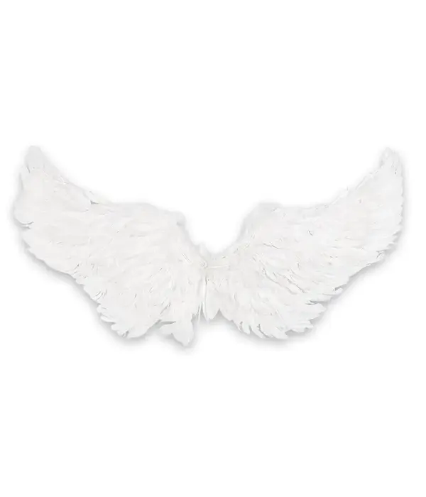 LED Engelenvleugels Wit