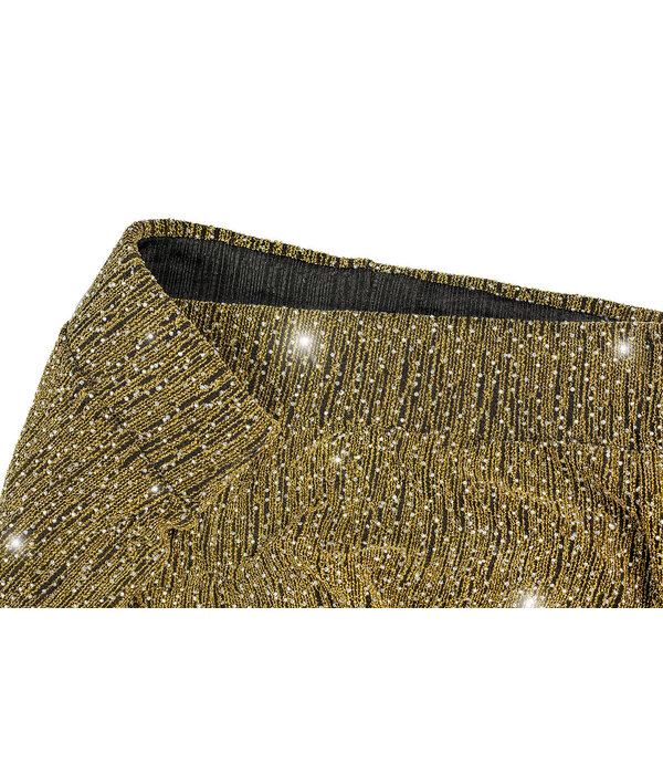 Party Glitter Broek Flared Goud
