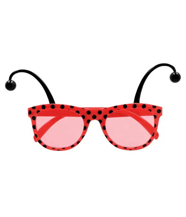 Accessoireset Lieveheersbeestje