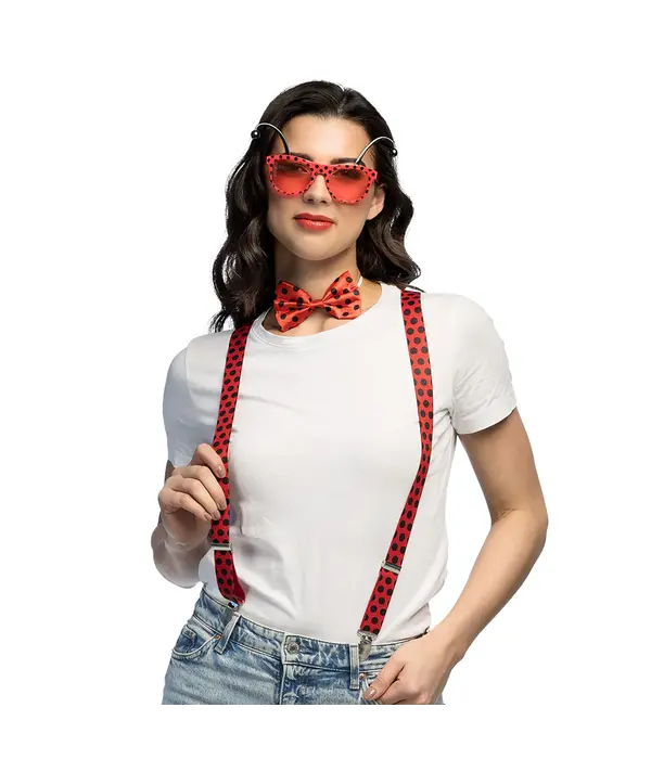 Accessoireset Lieveheersbeestje