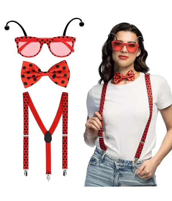 Accessoireset Lieveheersbeestje