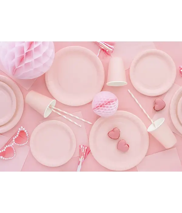 Feestborden Lichtroze 23cm (6st)