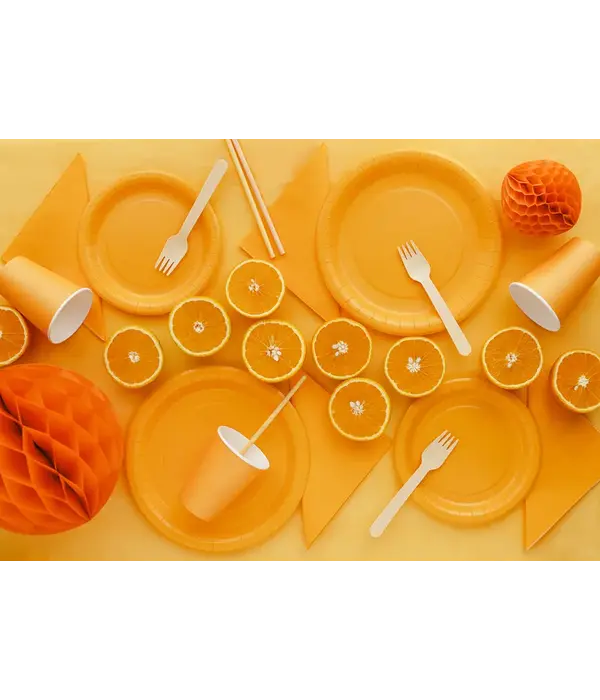 Cups Licht Oranje 250ml (6st)