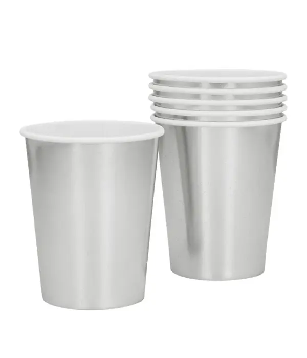 Tafelgerei Set Zilver (24st)