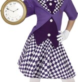 Mad Hatter Crazy Kostuum Kind