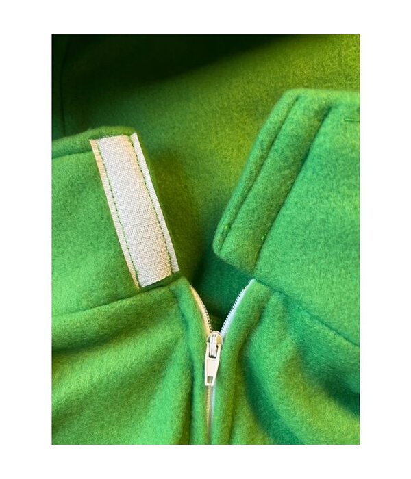 Teletubbie kostuum groen