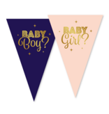 Vlaggenlijn Gender Reveal Baby Boy Baby Girl (10m)
