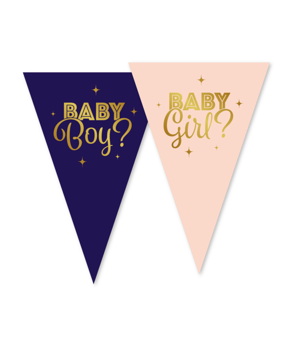 Vlaggenlijn Gender Reveal Baby Boy Baby Girl (10m)