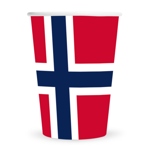 Bekers Noorwegen 210ml (8st)