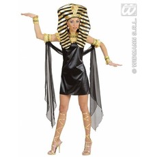 Lady of the Farao Cleopatra luxe Kostuum