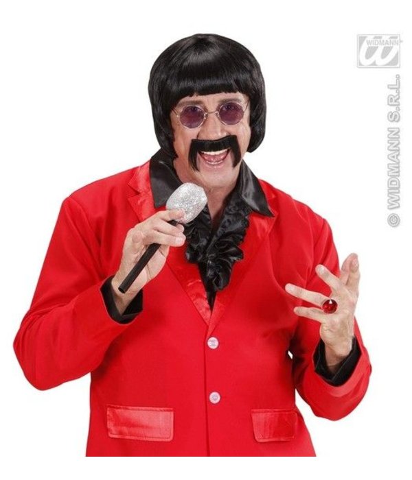 Popster sixtees pruik met snor en bril