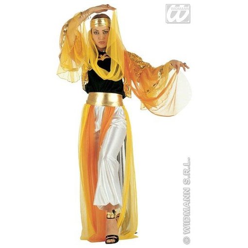 Geklede Harem danseres luxe