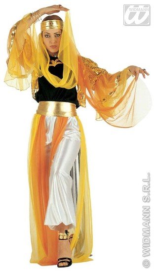 Geklede Harem danseres luxe