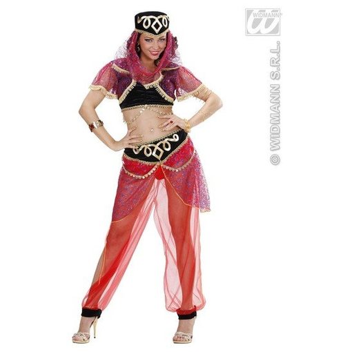 Sexy moderne Harem kostuum