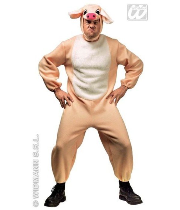 Varken verkleedpak