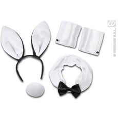 Sexy Bunny set
