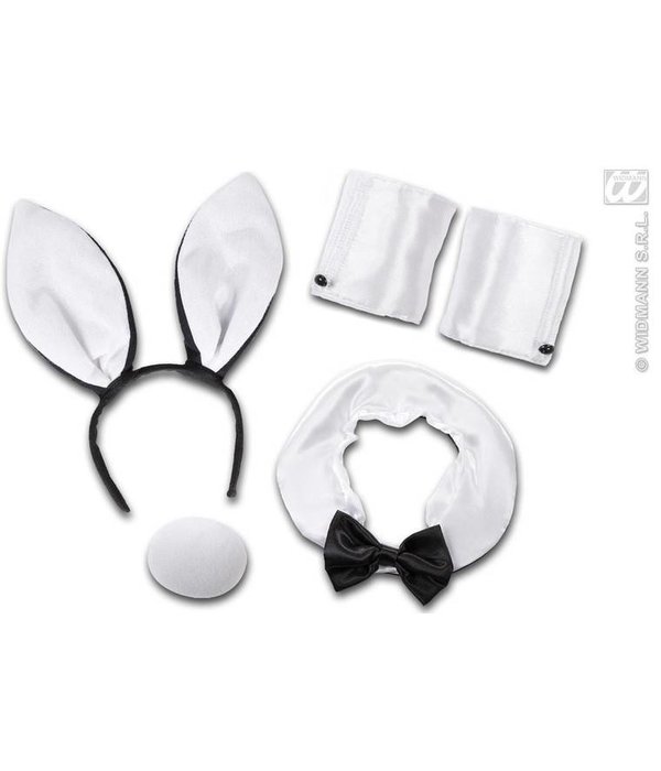 Sexy Bunny set