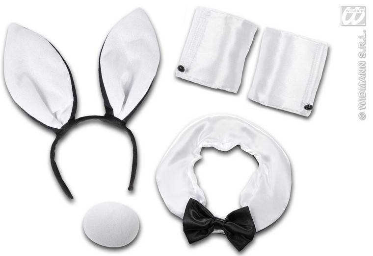 Sexy Bunny set