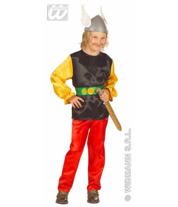 Asterix pak kind Havard