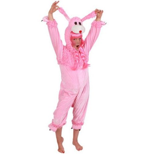 Kostuum Poedel roze pluche