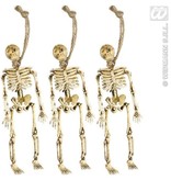 Skeletjes 15cm (3st)