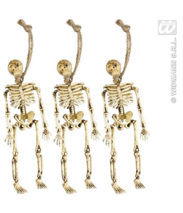 Skeletjes 15cm (3st)