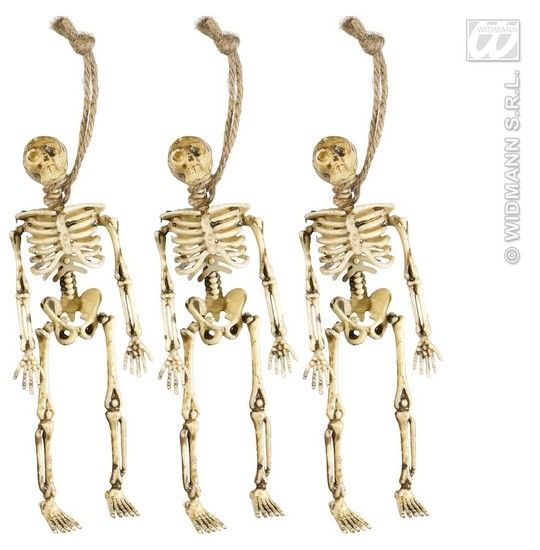 Skeletjes 15cm (3st)
