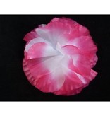 Bloem op kam Roze Wit