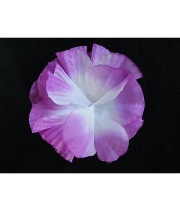 Bloem op kam Paars Wit