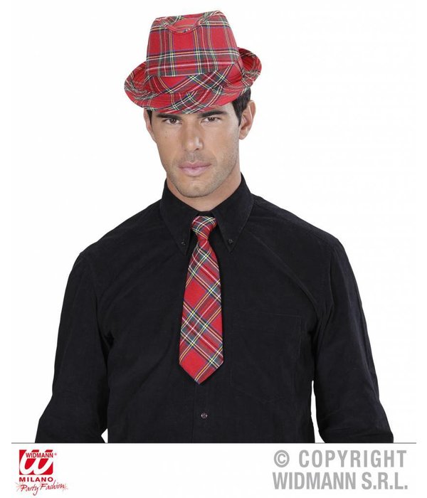 Rode geruite stropdas