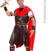 Griekse Hercules kostuum man