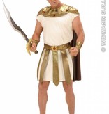 Spartaans zwaard 83cm