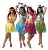 Tropische Hawaii set 4-delig