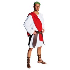 Middeleeuws kostuum Julius elite