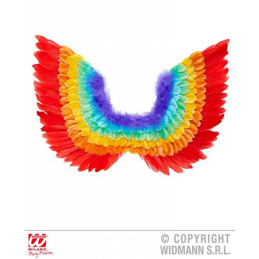 Veren vleugels regenboog 60cm