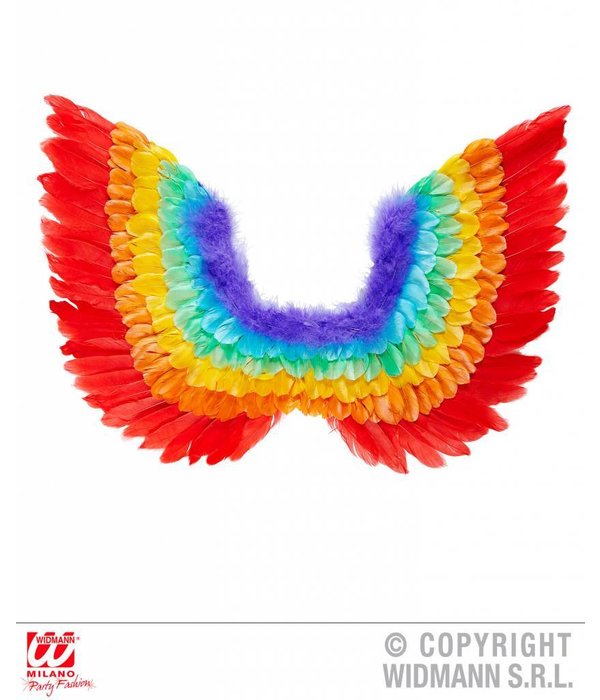 Veren vleugels regenboog 60cm