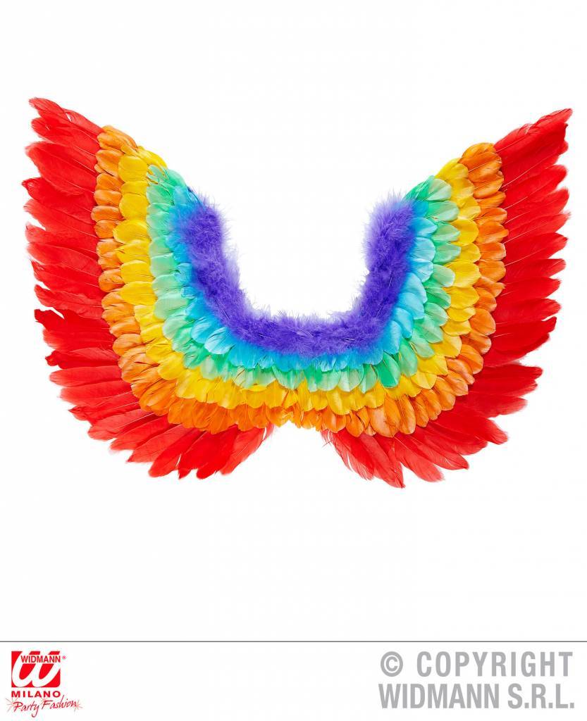 Veren vleugels regenboog 60cm afbeelding