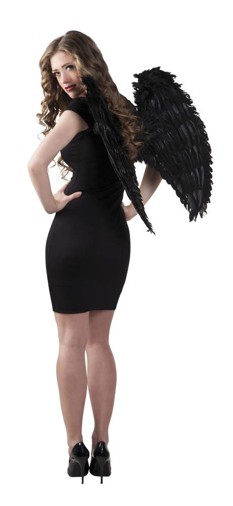 Engelenvleugel zwart 65x65cm
