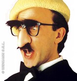 Bril met neus, snor en wenkbrauwen