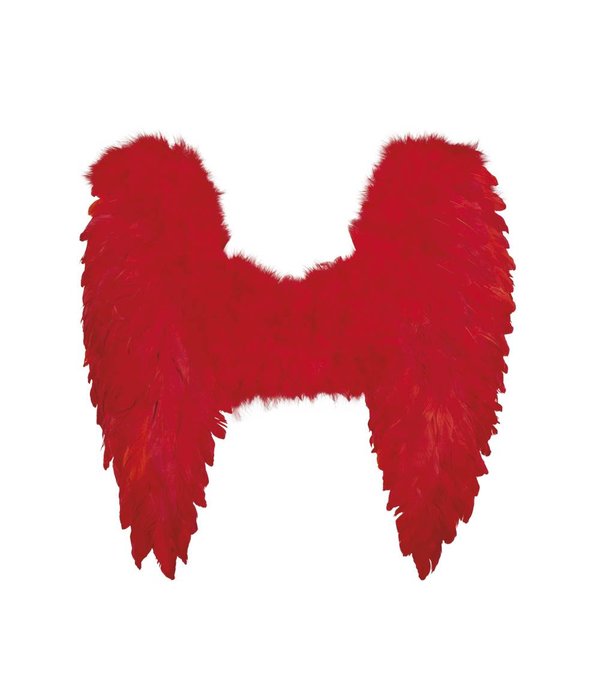 Engelen vleugel rood 50x50cm