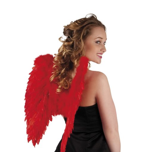 Engelen vleugel rood 50x50cm