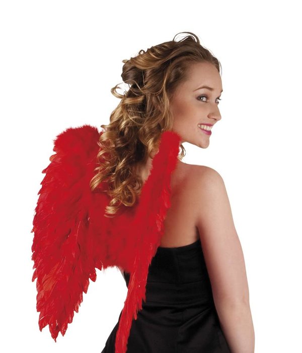 Engelen vleugel rood 50x50cm