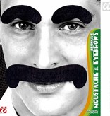 Snor en wenkbrauwen zwart