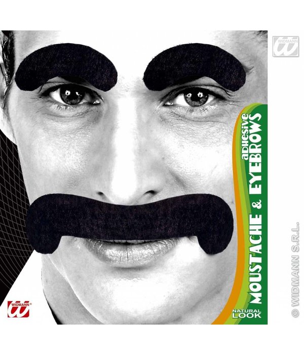 Snor en wenkbrauwen zwart