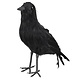 Decoratie Kraai zwart 23cm