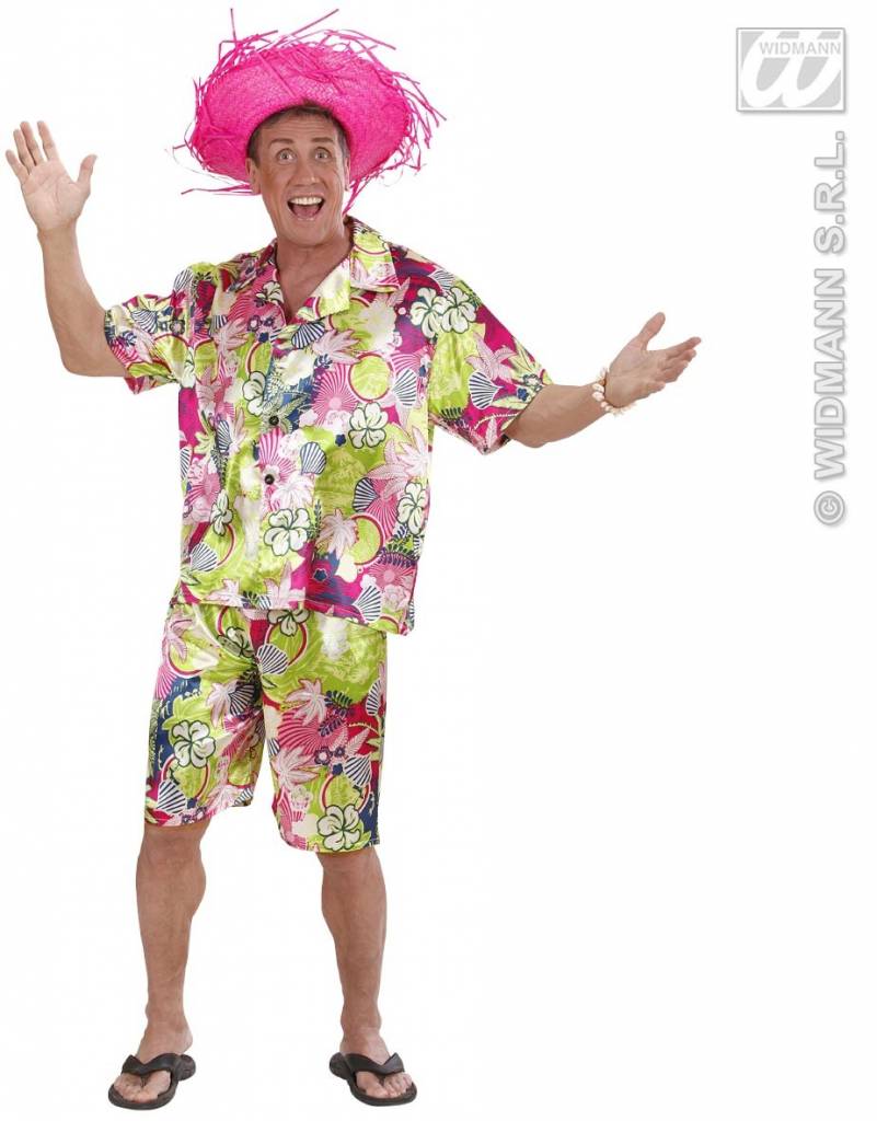 Hawaiiaanse kleding man afbeelding