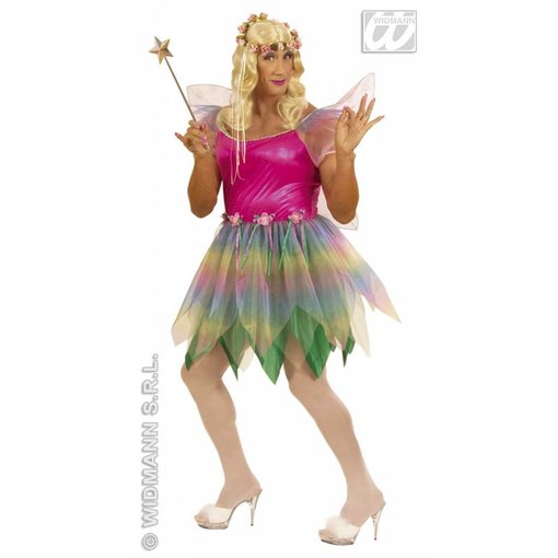Mannelijke regenboog Fee XL kostuum