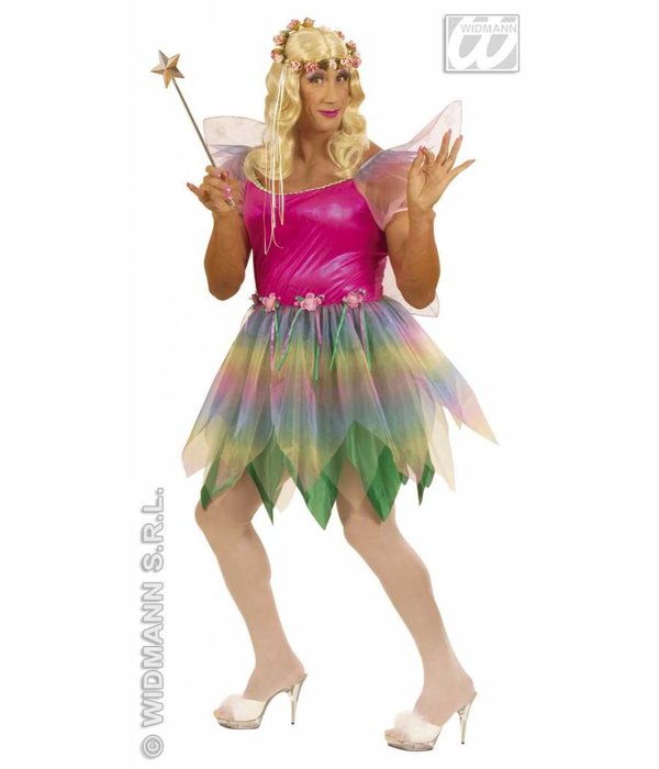Mannelijke regenboog Fee XL kostuum