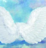 Gevederde vleugels wit 71x45cm